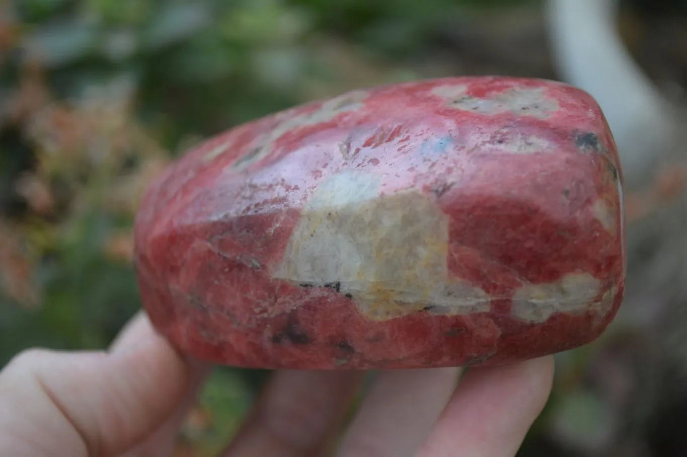 Polished Rhodonite Free Forms x 5 From Zimbabwe
