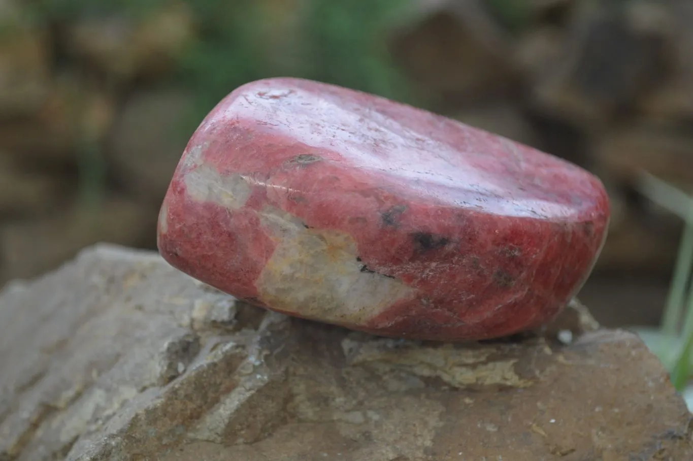Polished Rhodonite Free Forms x 5 From Zimbabwe