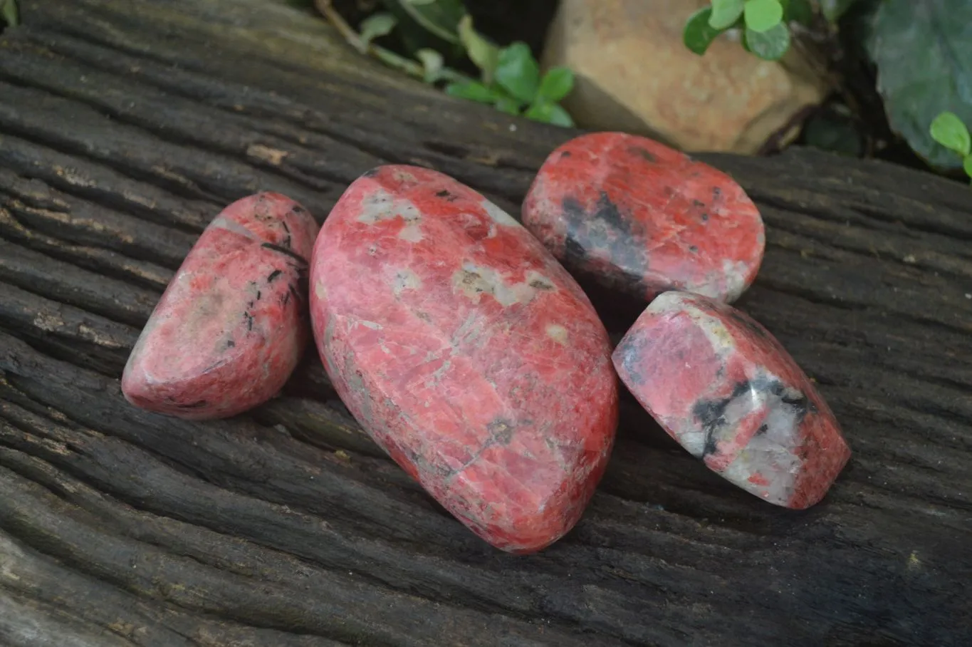 Polished Rhodonite Free Forms x 5 From Zimbabwe