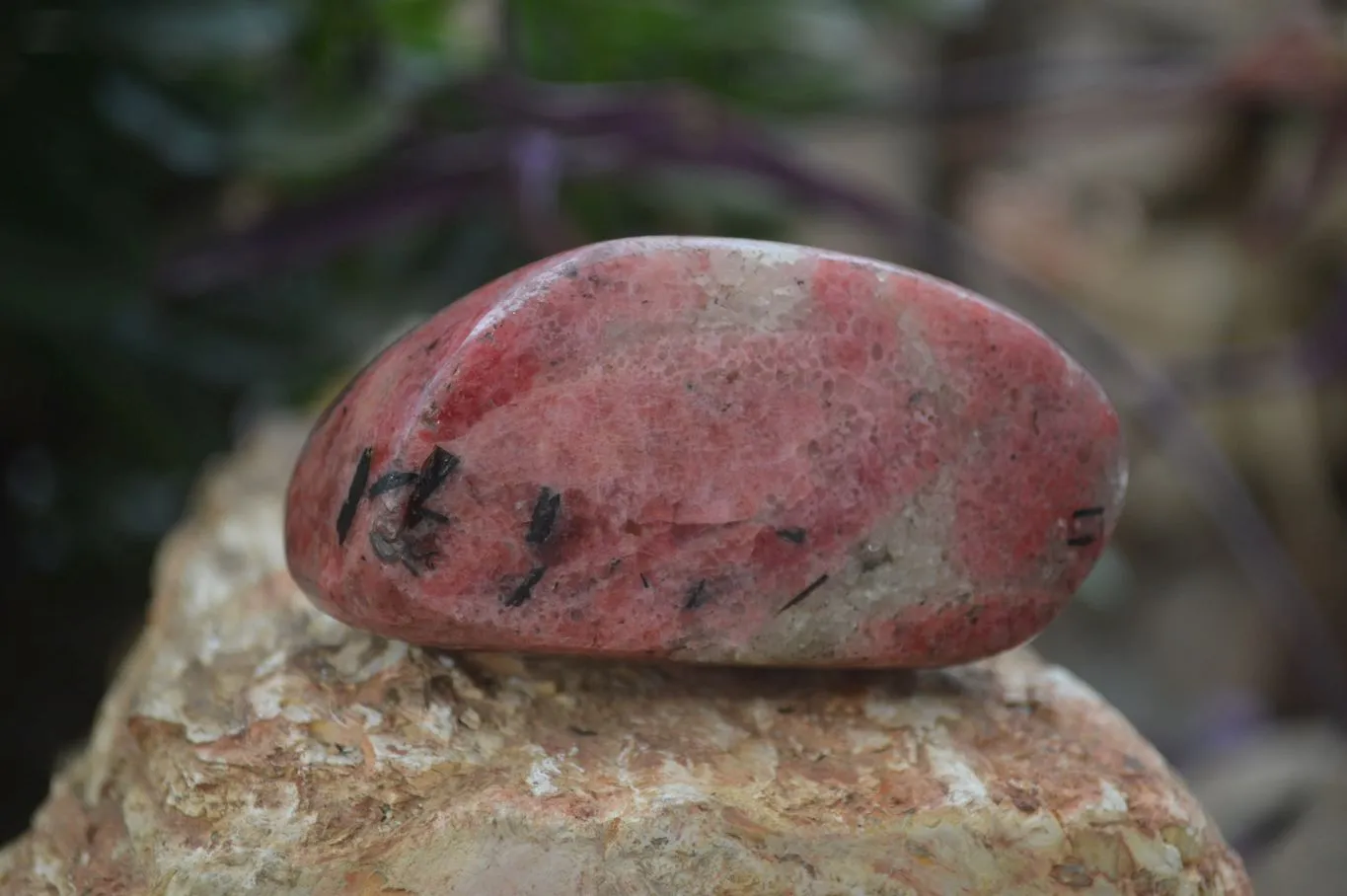 Polished Rhodonite Free Forms x 5 From Zimbabwe