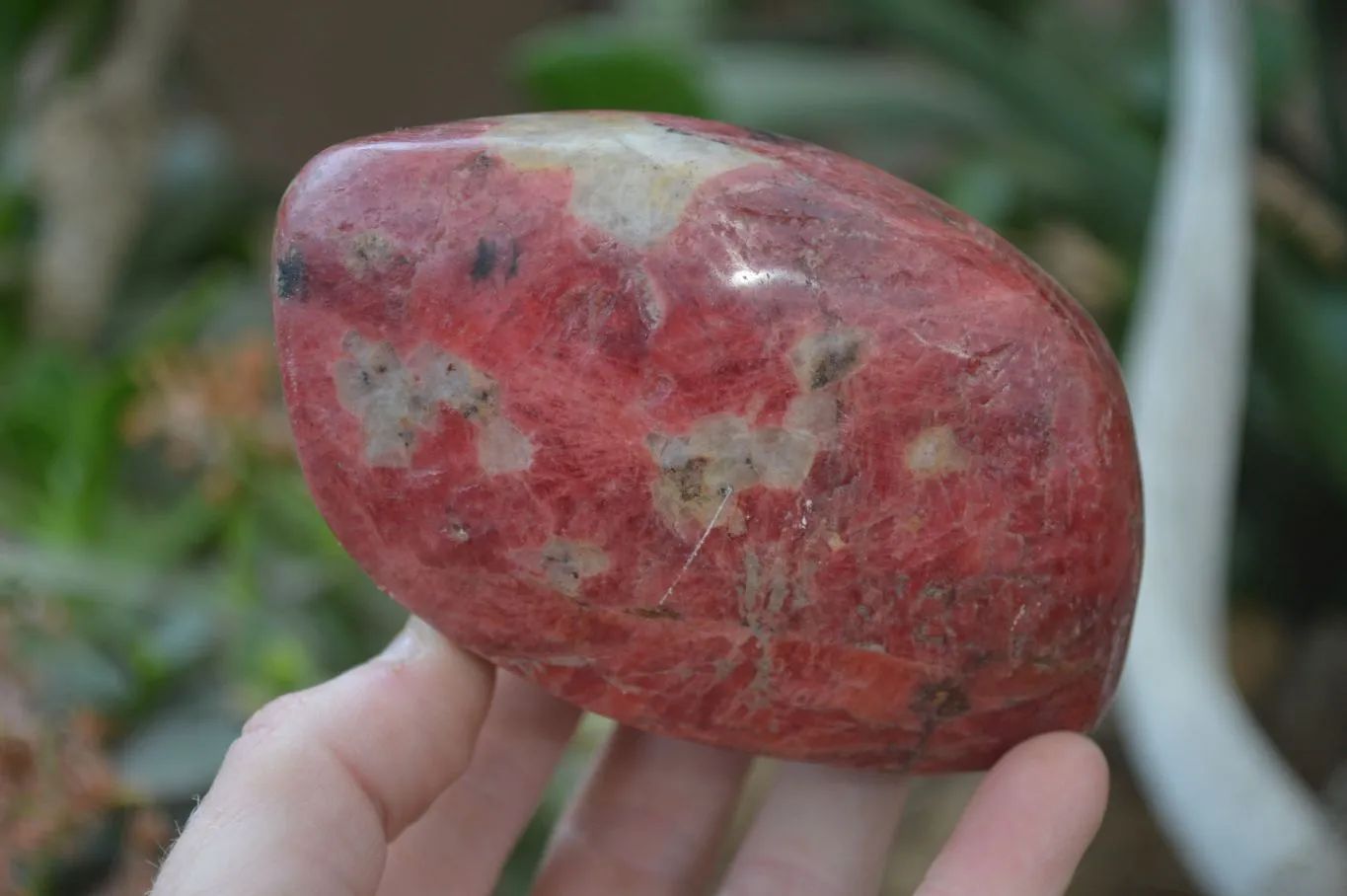 Polished Rhodonite Free Forms x 5 From Zimbabwe