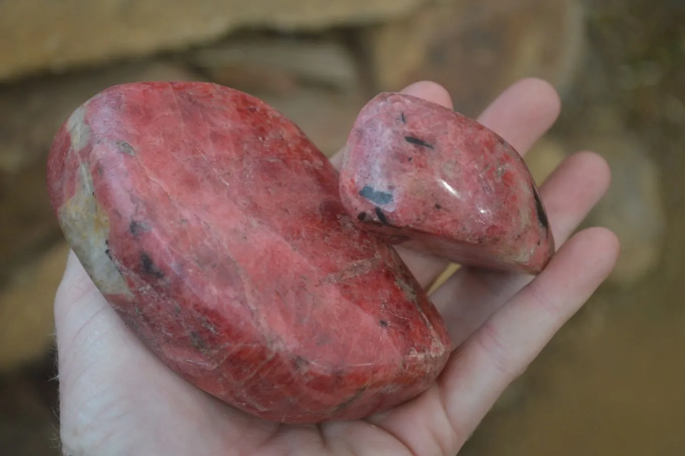 Polished Rhodonite Free Forms x 5 From Zimbabwe