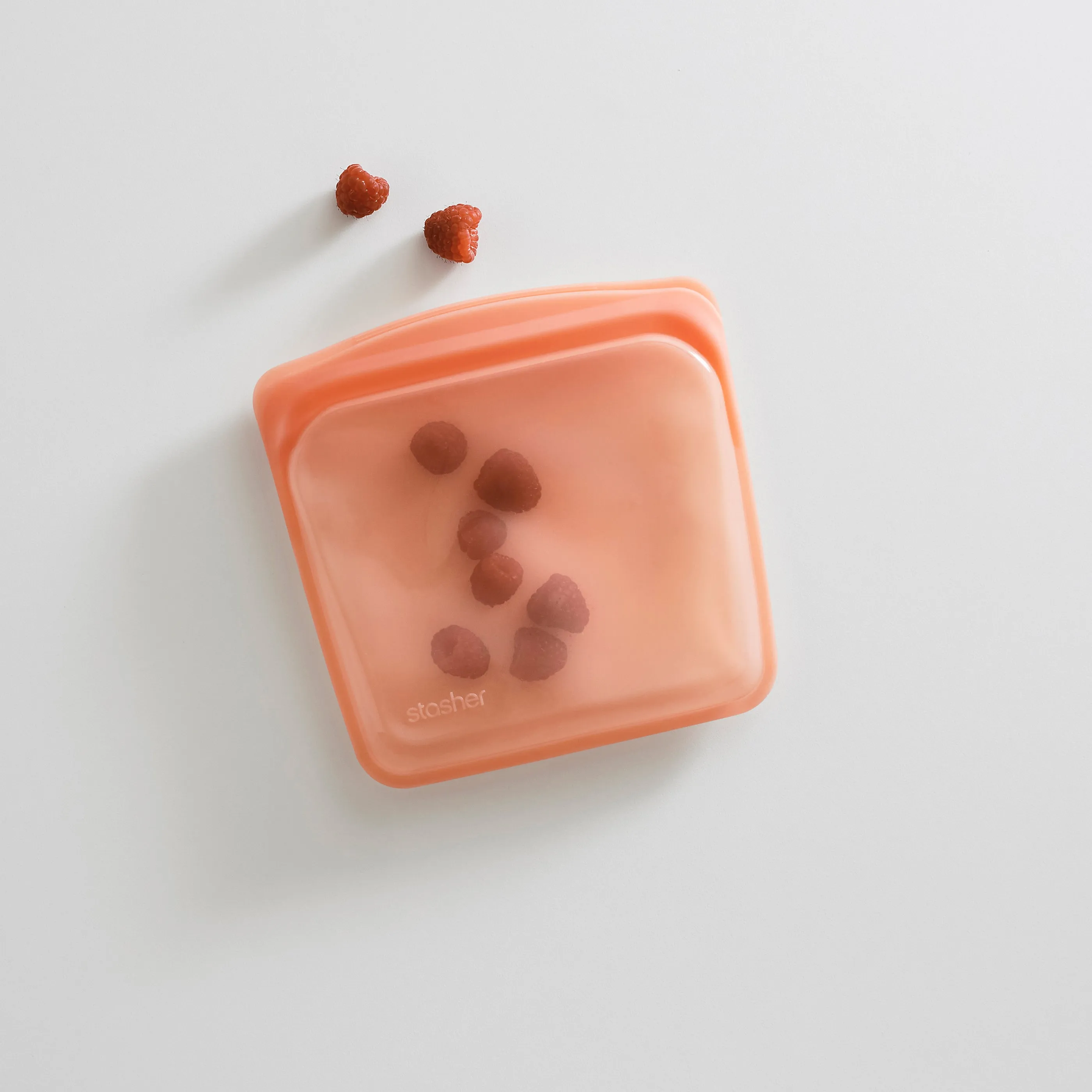 Sandwich Bag