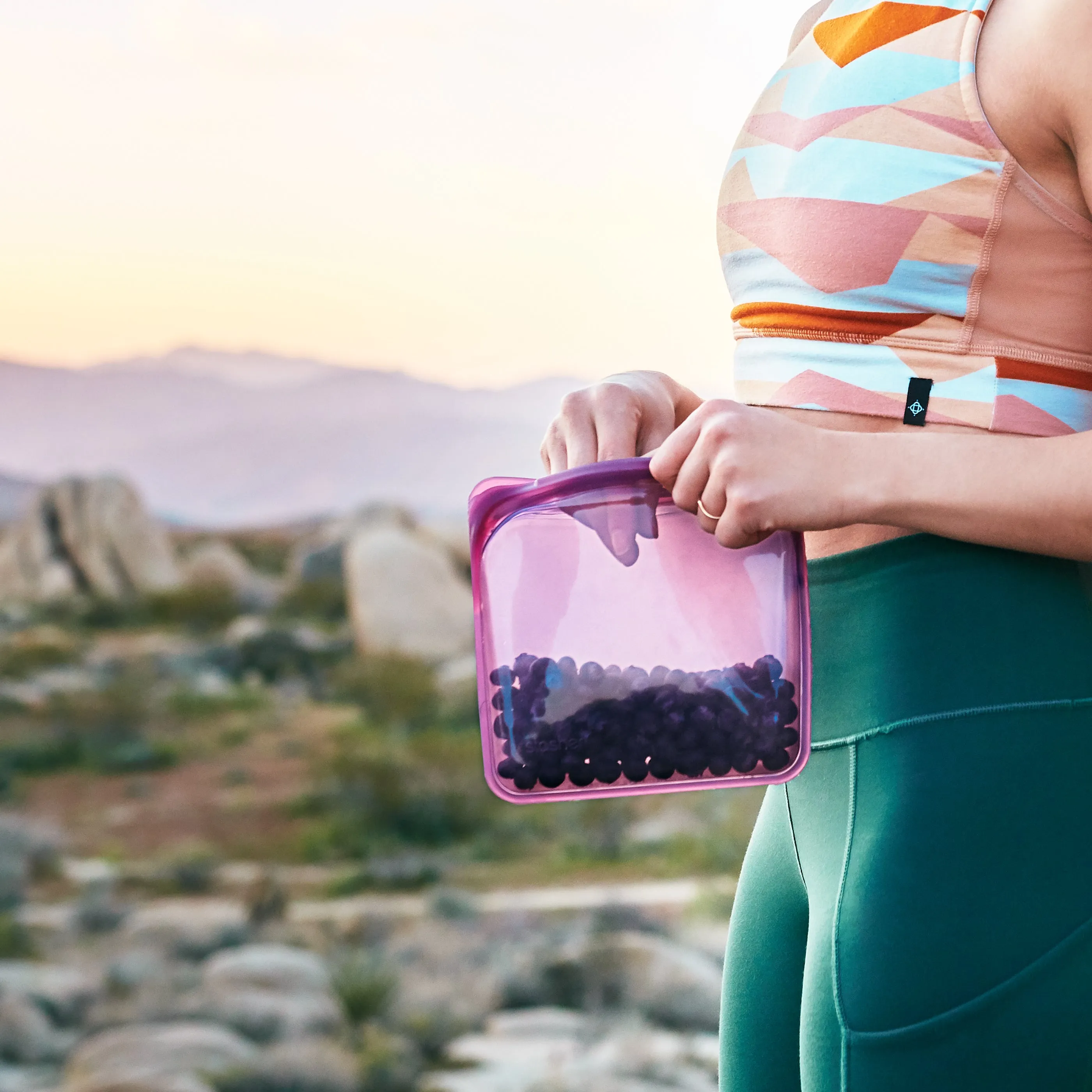 Sandwich Bag