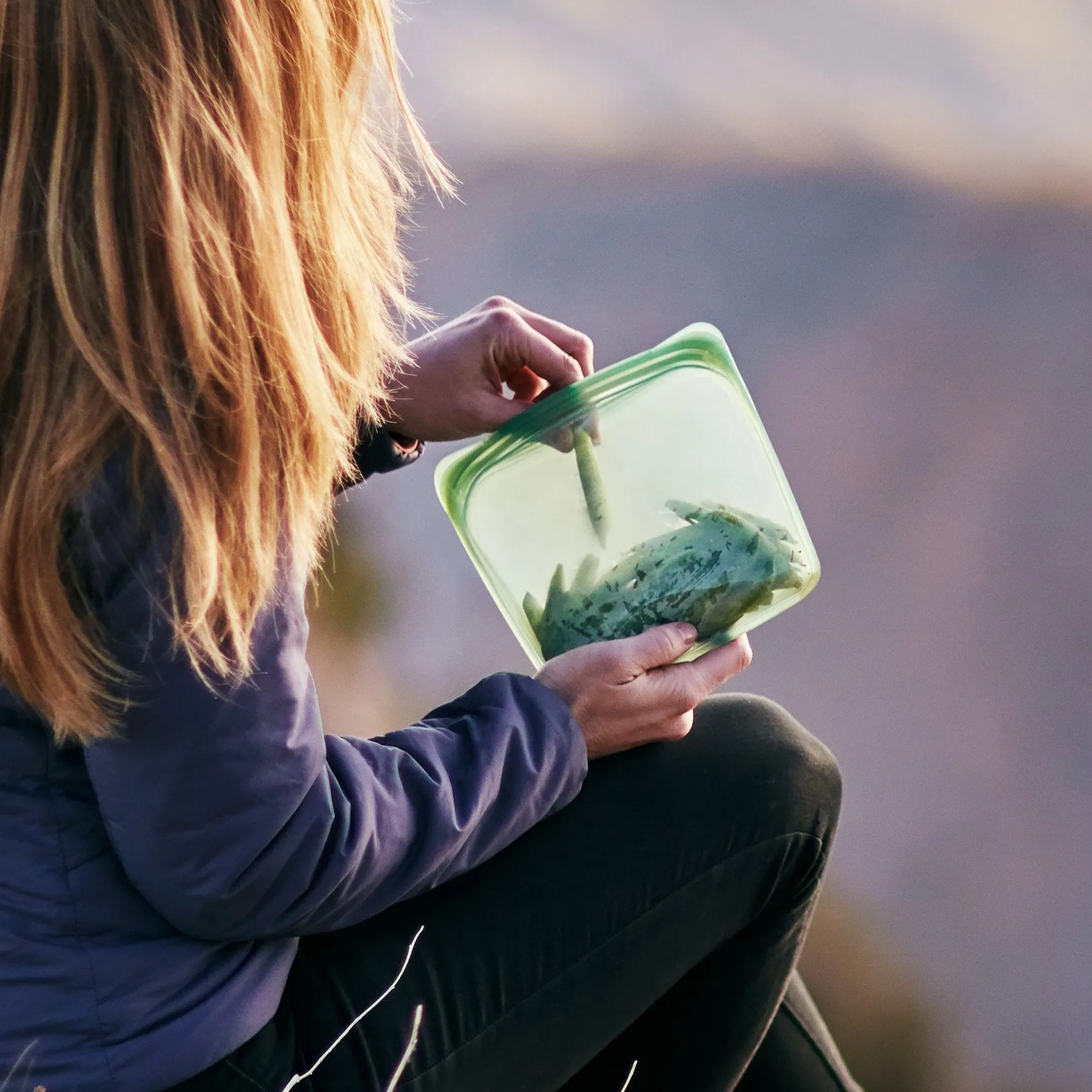 Sandwich Bag