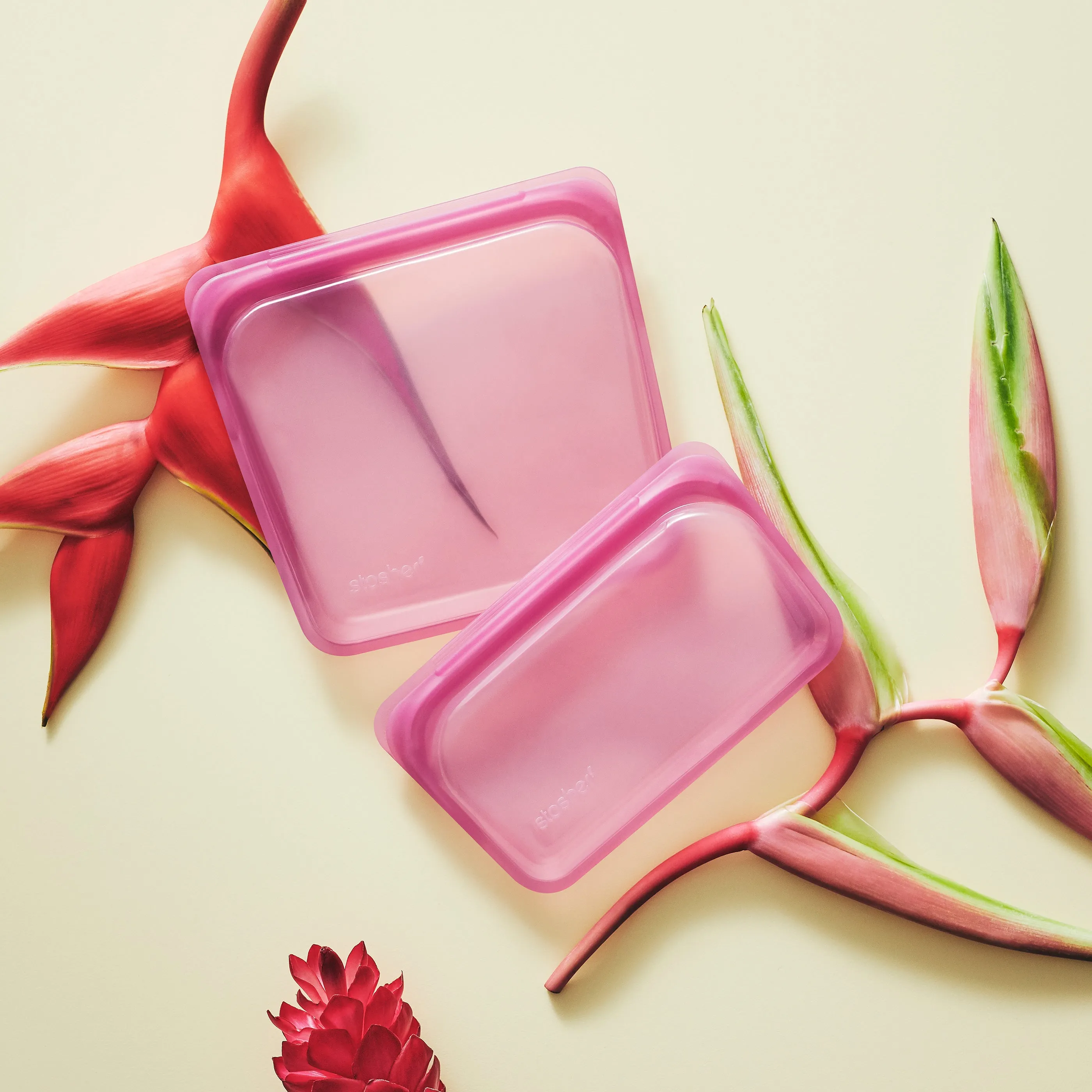 Sandwich Bag